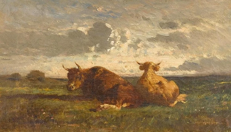 Due mucche al pascolo